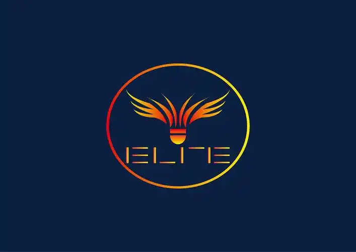 自创羽毛球品牌logo