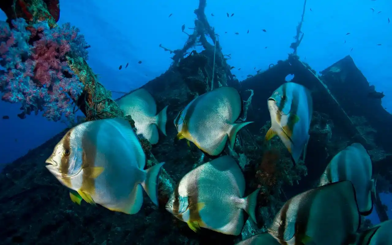 海底沉船高清唯美摄影图片桌面壁纸高清大图预览1920x1200_风景壁纸