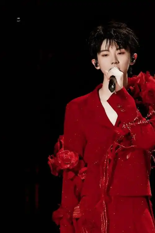 马嘉祺楼外楼演唱会##时代少年团演唱会##南孚持久赋能,紫海全程高能