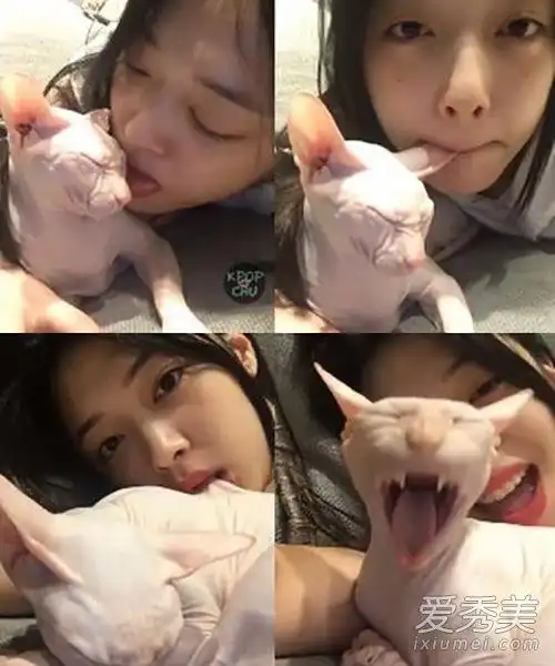 崔雪莉ins直播咬无尾猫是虐待动物吗图片曝光 崔雪莉资料