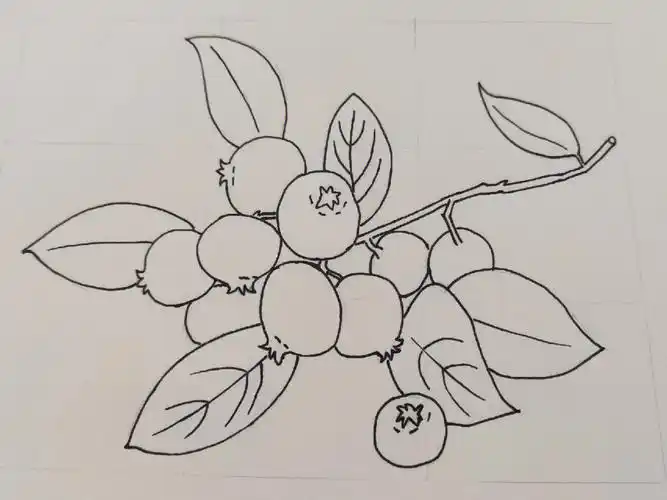 临摹  #手绘  #极简手绘  #手帐  #针管笔手绘  #绘画临摹  #零基础