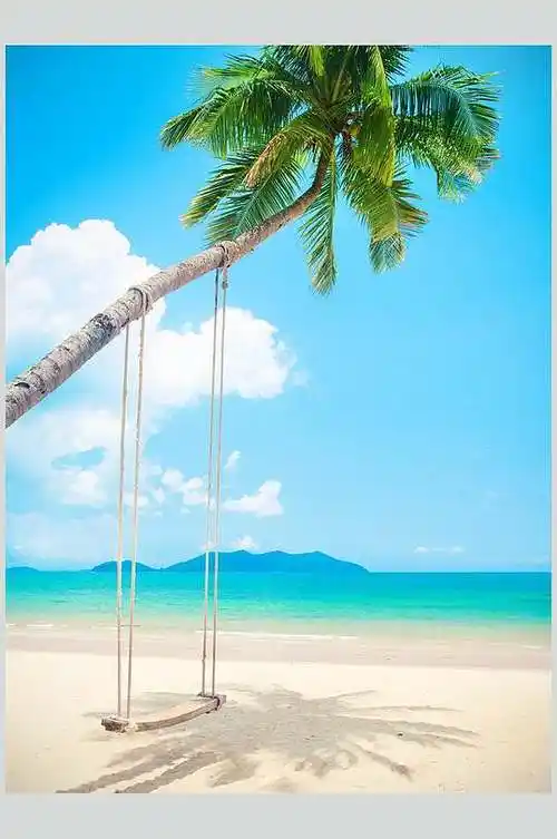 沙滩大海椰树秋千高清摄影图片