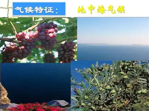 地中海气候