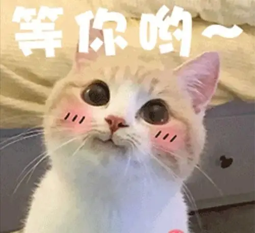 鹏湾花园一村棚改初步意愿同意率突破双85%,达到申报标准啦!