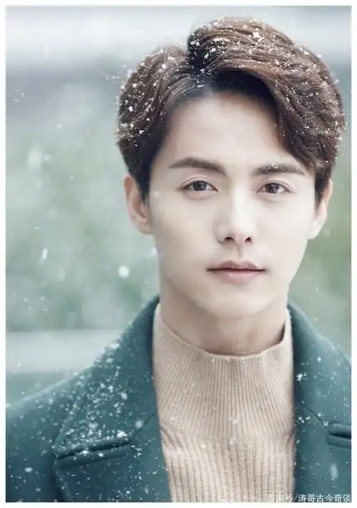 涛哥眼中的中国大陆十大最帅男星