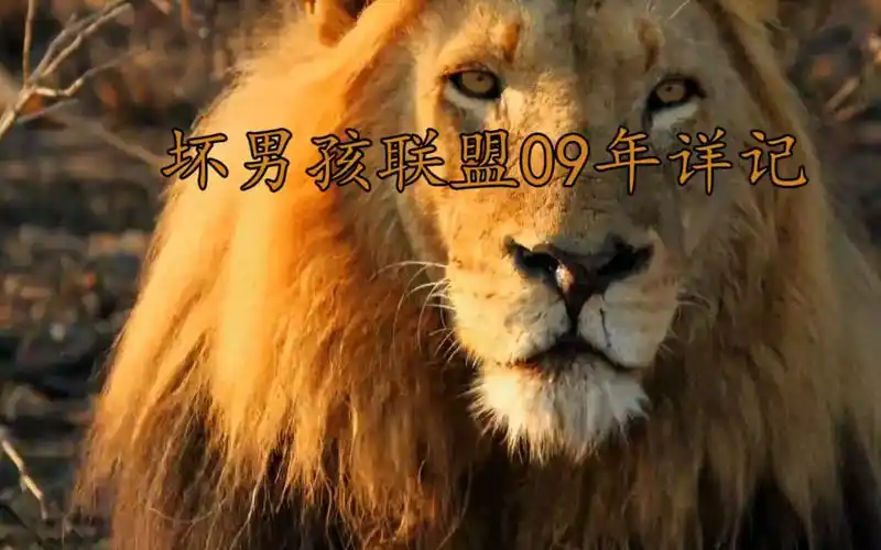 活动作品坏男孩联盟09年详记第十五集