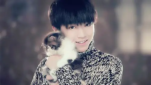 清新帅气王俊凯壁纸_带来清新气息王俊凯