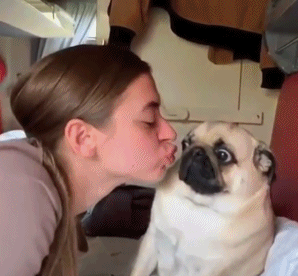 女主人嘟嘴亲狗狗,狗子一脸不乐意,小表情把人笑喷