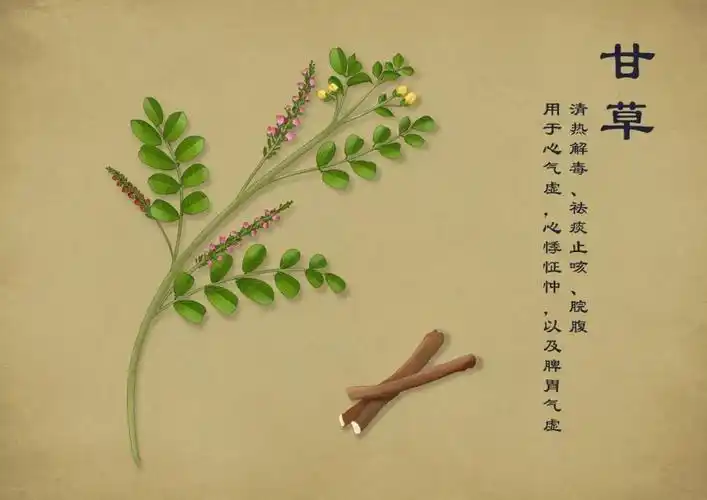 手绘中草药图谱,美翻了!-搜狐大视野-搜狐新闻