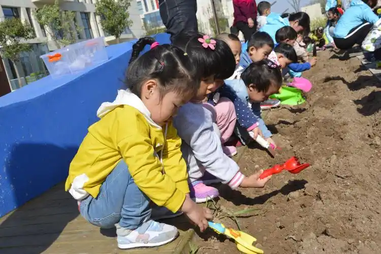 亲近自然,热爱自然,探索自然——文华幼儿园蔬菜种植活动