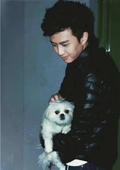 邓超内娱无代餐