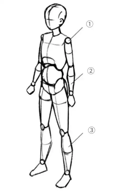 画人体应该怎么打基础?