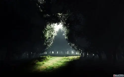 分享第一屏-黑色系 - 资源共享 - 一加手机社区官方论坛