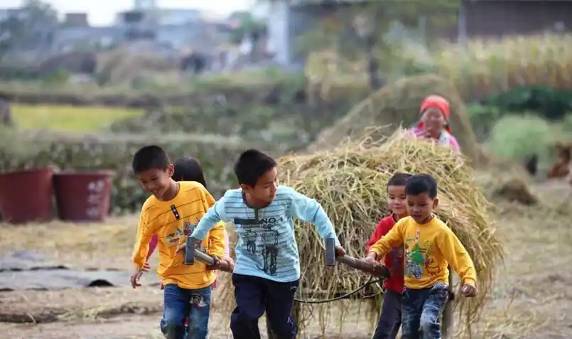 农村孩子心酸的暑期生活, 想起了80,90后小时候的我们