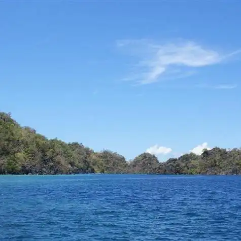 精选自然风光清新淡雅风景头像蓝天白云绿色植物
