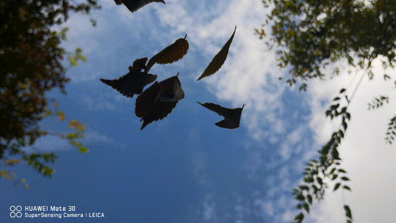 800_450gif 动态图 动图