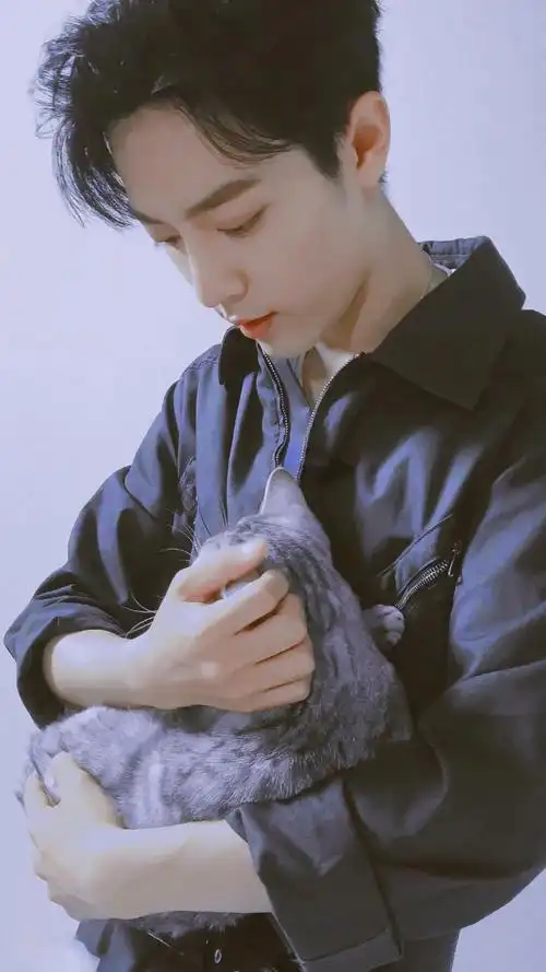 今日份壁纸 | 肖战 (7.7)