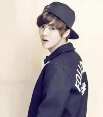 在网上了解到鹿晗妈妈是翁文凤,到是有关他妈妈家里是什么,也没有多少