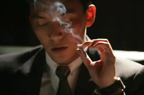 金城武玉木宏(实在没搜到交响情人梦里有烟的剧照.