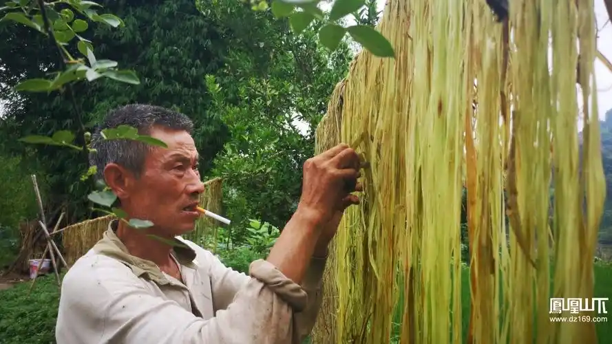 剥麻- 达州摄影 - 凤凰山下 - powered by discuz!