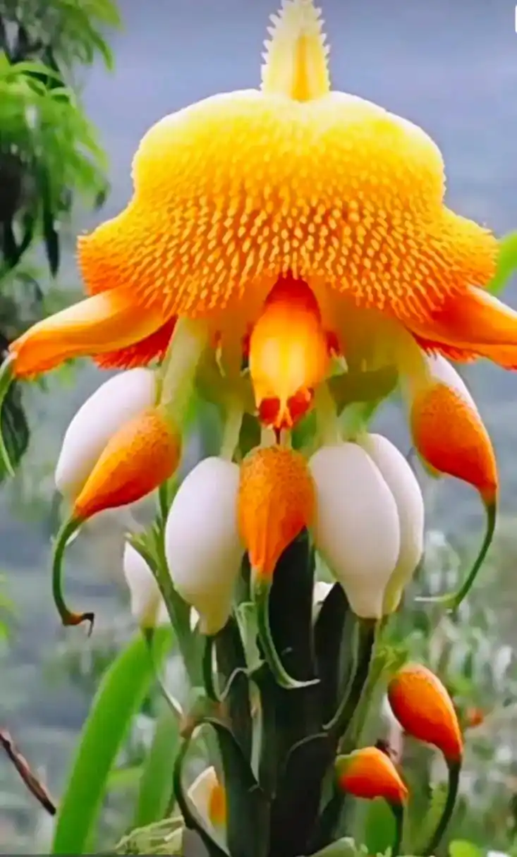 772_1280竖版 竖屏