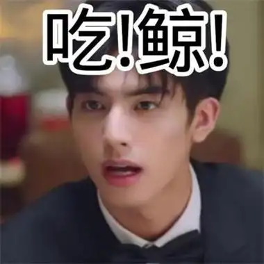 下一站幸福宋威龙表情包 宋威龙表情包大全— 爱才妹生活