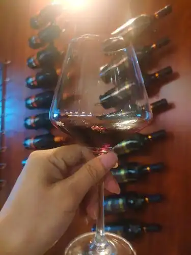 小时候不懂大人为什么喜欢一个人喝酒,现在懂了,却只能欲说还休