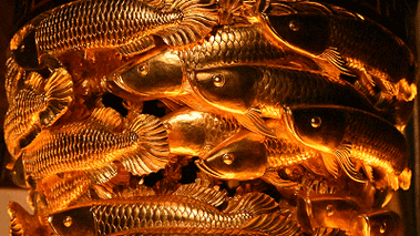 400_225gif 动态图 动图