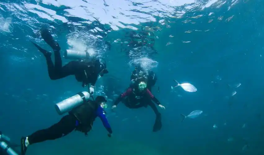 海南三亚潜水享假期