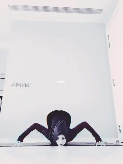 瑜伽蜘蛛