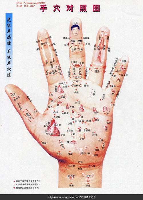 早晚按揉健身体,口气清新免疫强, 女性乳腺看右手,手腕横纹摸两旁.