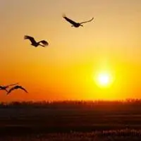 黎明升起的照片头像图片_微信头像图片大全