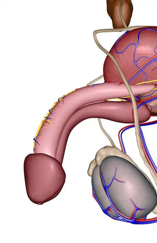 医疗,医学,合成图