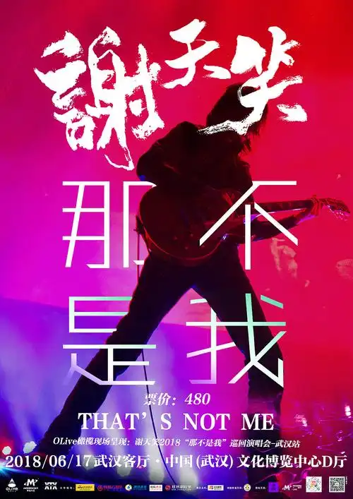 演唱会海报集合