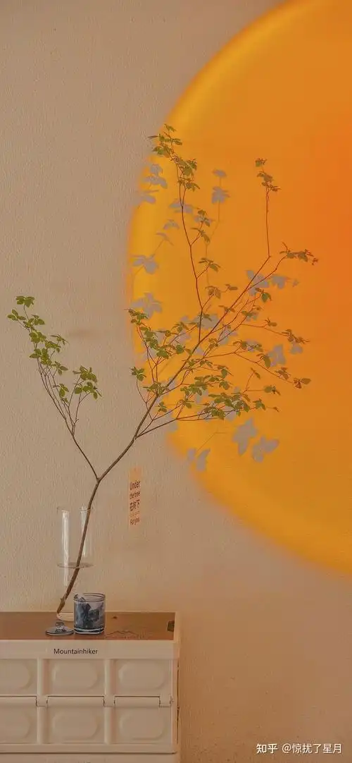 有没有小众高级简约的壁纸