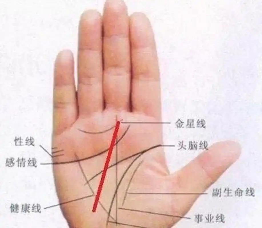 女人什么样的手型最有福气?