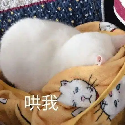 快哄哄我表情包 - 快哄哄我微信表情包 - 快哄哄我qq表情包 - 发表情