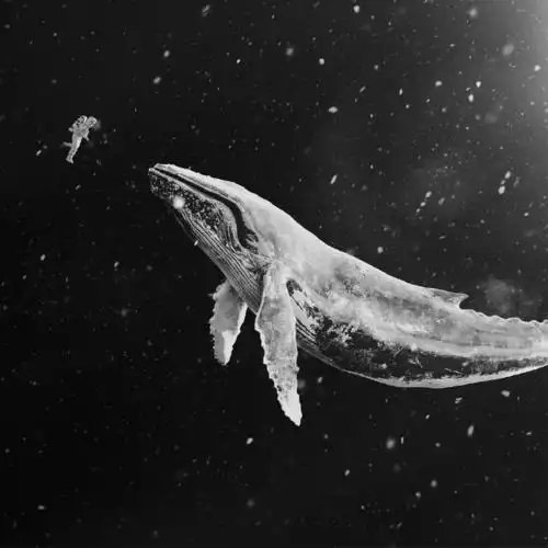 【专辑名称】:sing for you (中文版)   【歌手名称】:exo   【主作