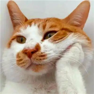 沙雕头像225张 高清好玩又智障又沙雕的头像图片_搞笑头像_头像屋