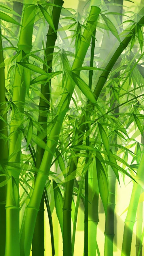 860_1529竖版 竖屏