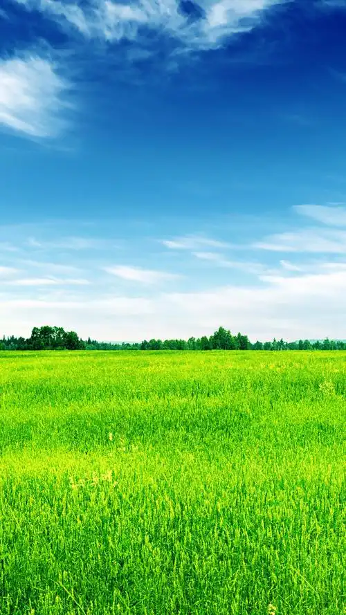 绿色保护您的眼睛