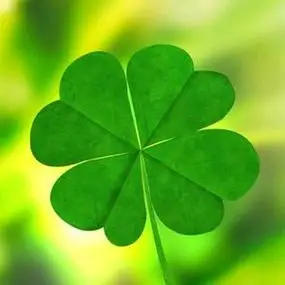 女人用什么头像运气旺