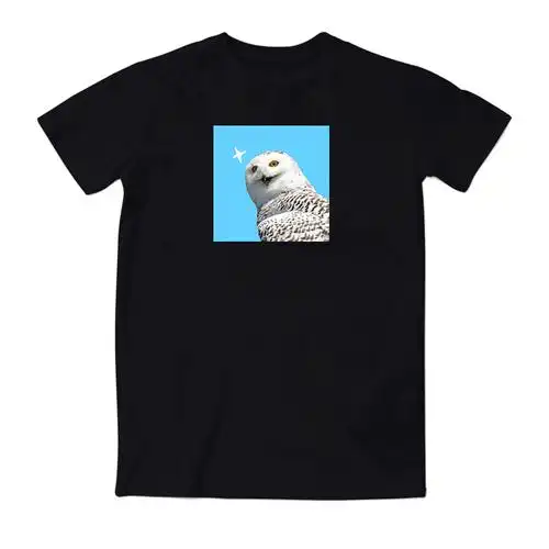 沙雕雪鸮猫头鹰乌呀w3一杠联名数码可爱爱萌t恤
