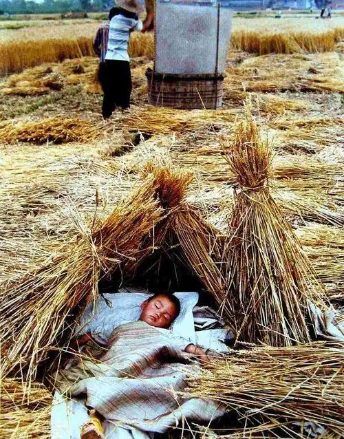 80后农村孩子的童年回忆真怀念