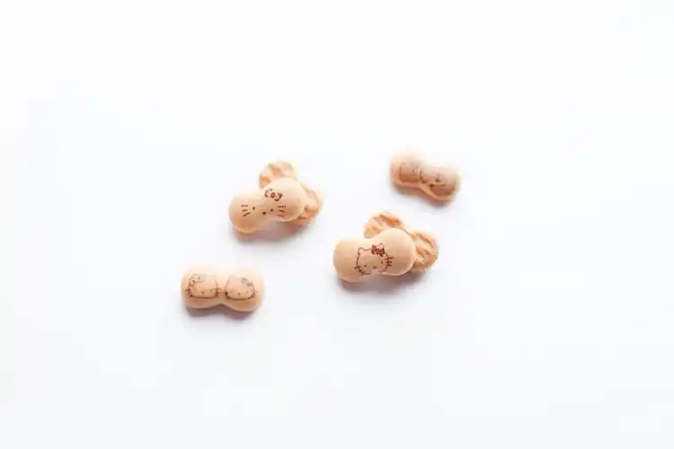 日本原装进口零食品 北陆 凯蒂饼干 50g hellokitty日系猫粮形状