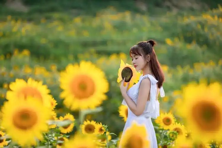 向日葵女孩