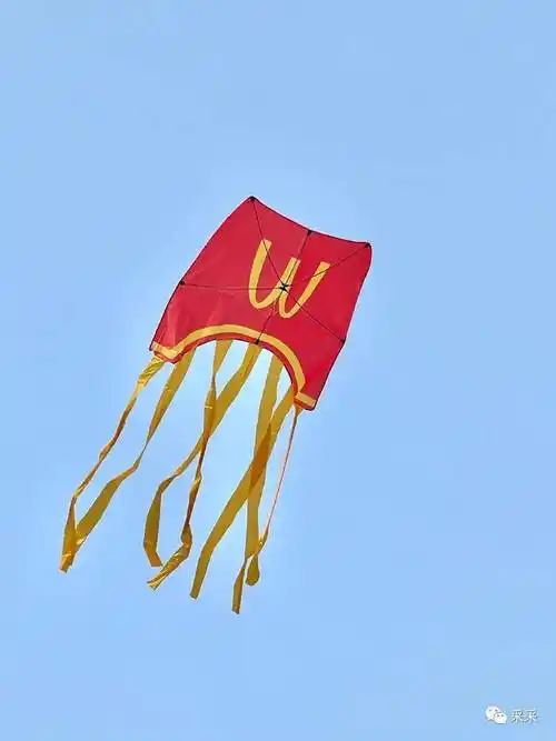奇葩风筝大赏,脑洞大开啊!_老天_图片_段子
