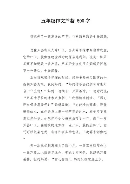 五年级作文芦荟500字