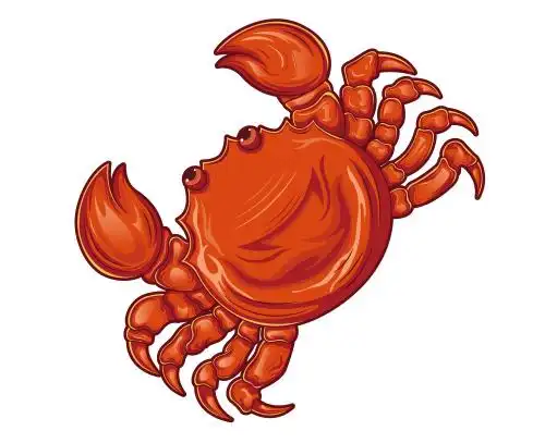 卡通大闸蟹插图吉祥物矢量插画