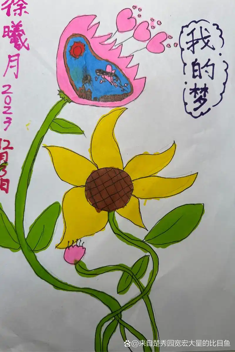 二年级小朋友画的自己的梦